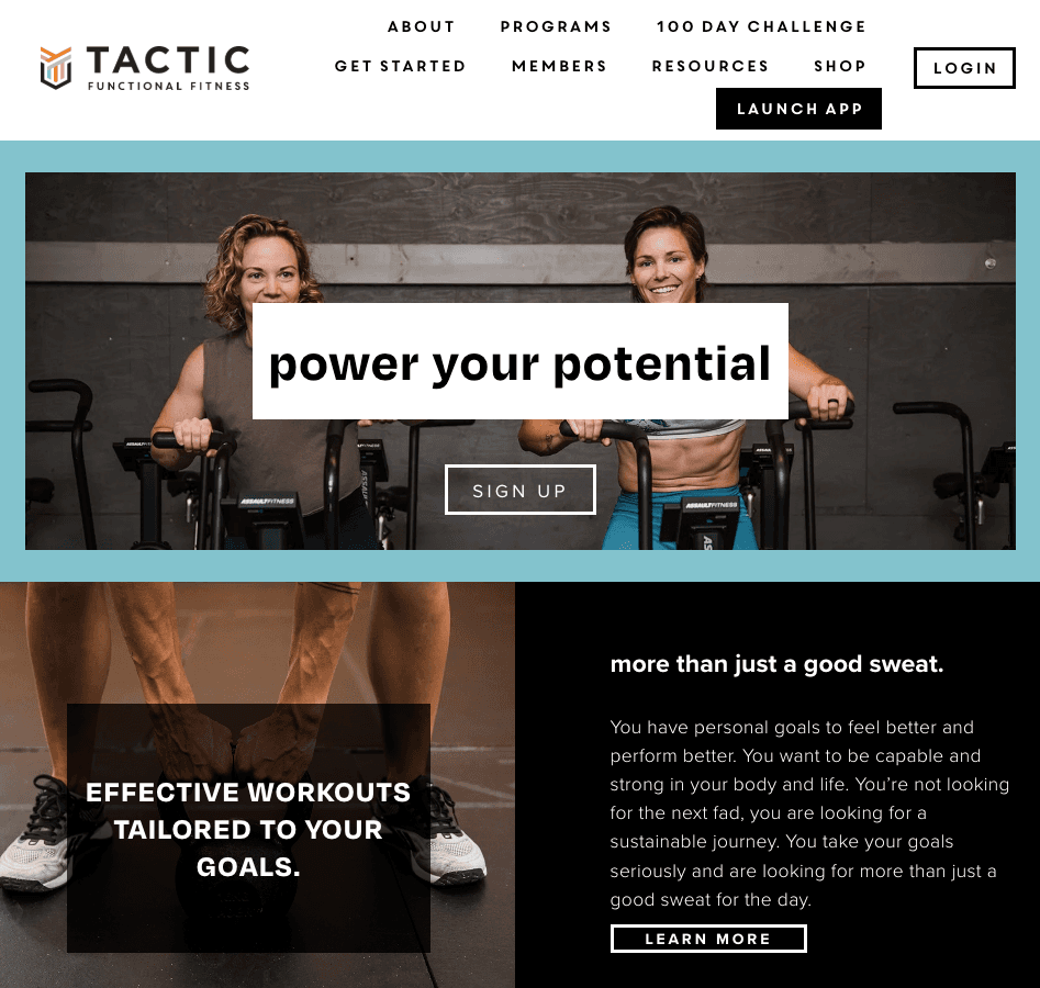 Tactic Website preview